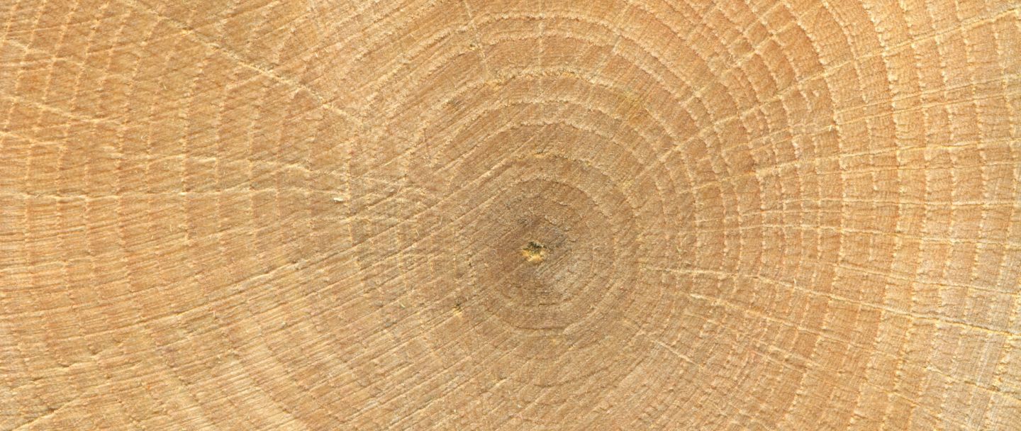 Different Cuts of Oak Hewins Oak