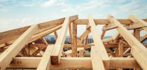 Timber's role in the circular economy
