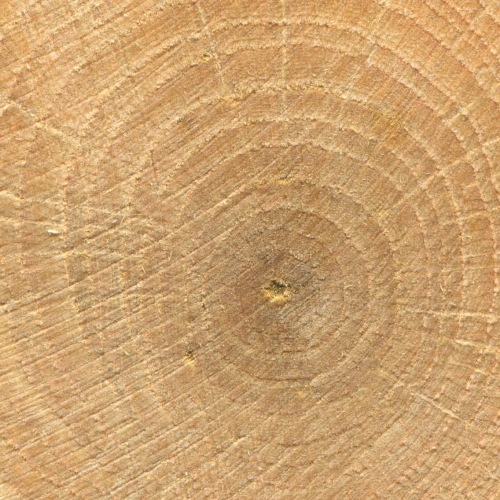 Different Cuts of Oak