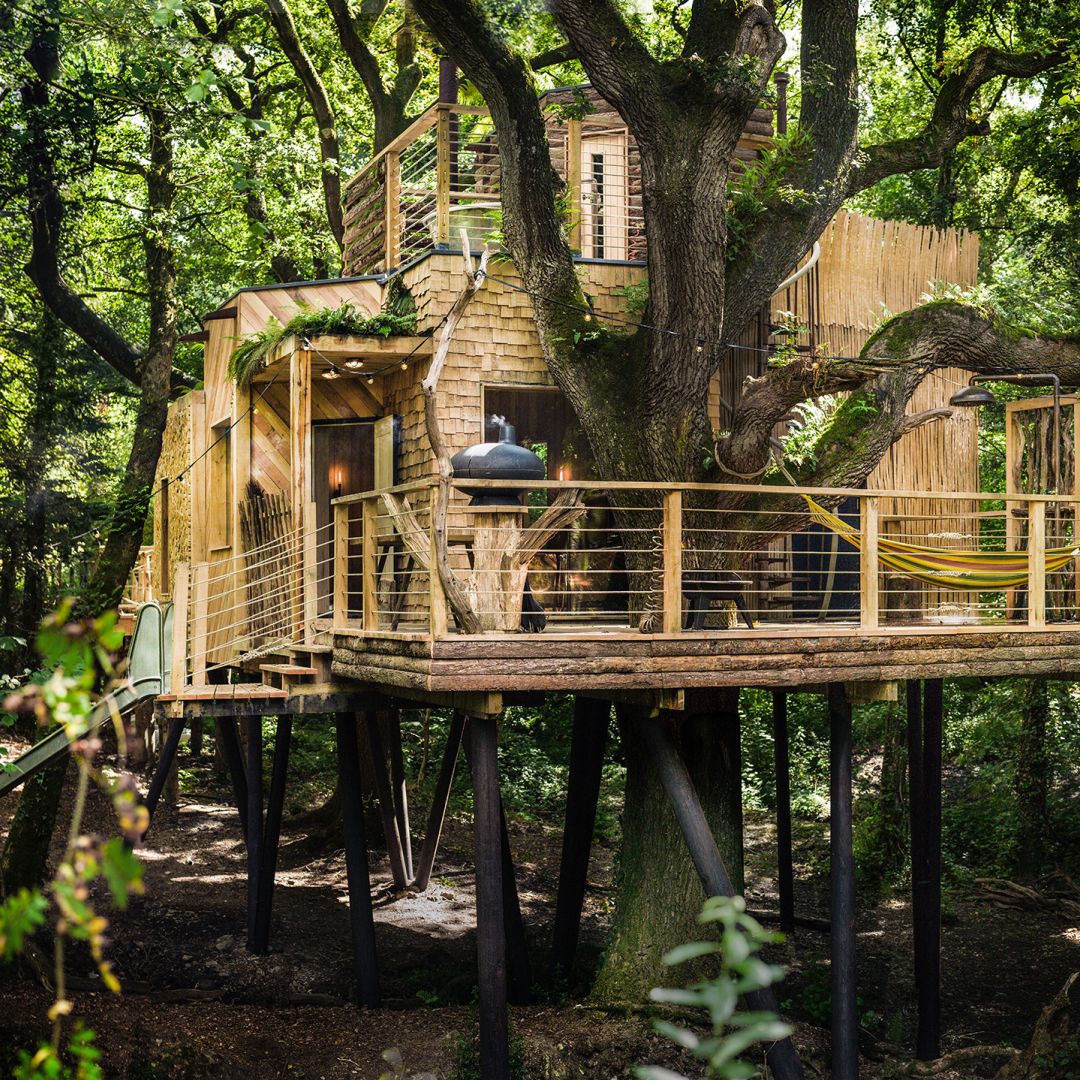 Treehouse Glamping